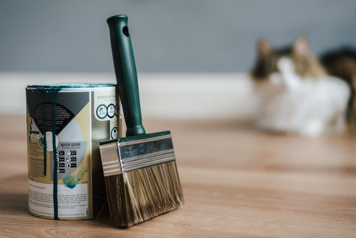Paint can and brush on wooden floor with cat